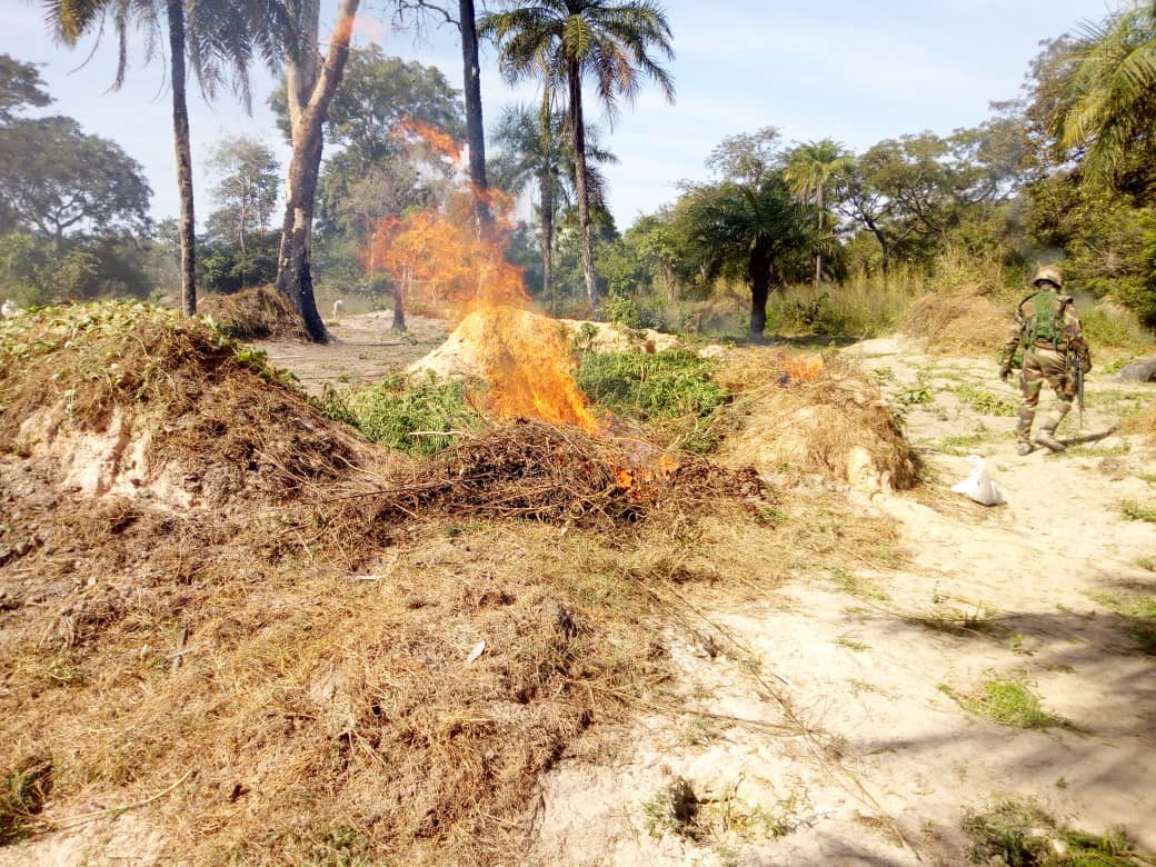Zone militaire 5 ( Ziguinchor): Lutte contre la coupe illégale de bois et les trafics illicites